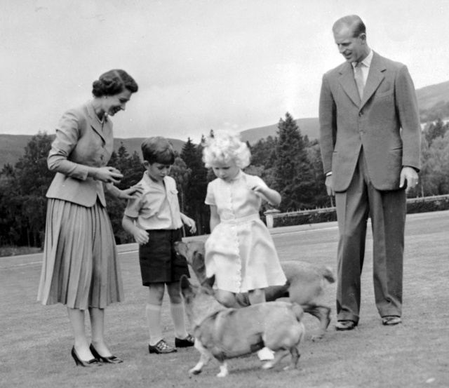 Perros reina Isabel 2