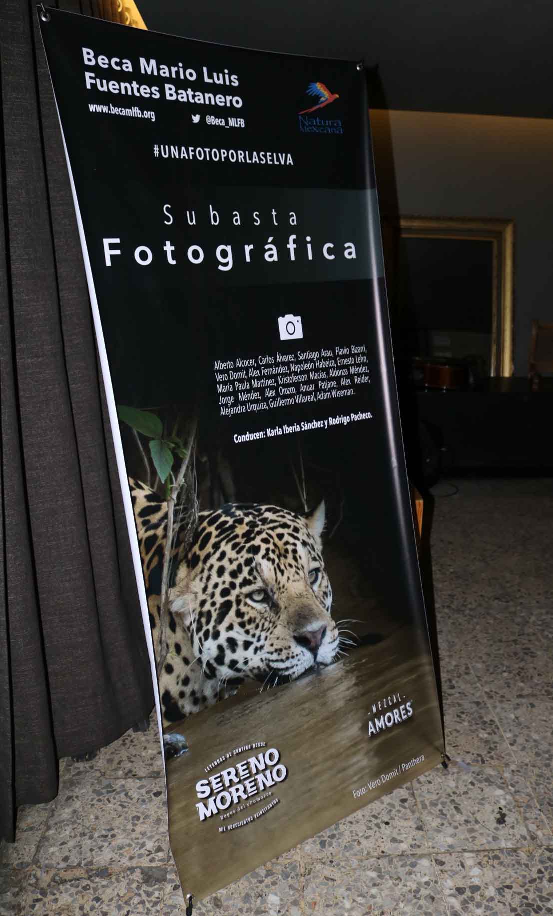 subasta fotografica 3